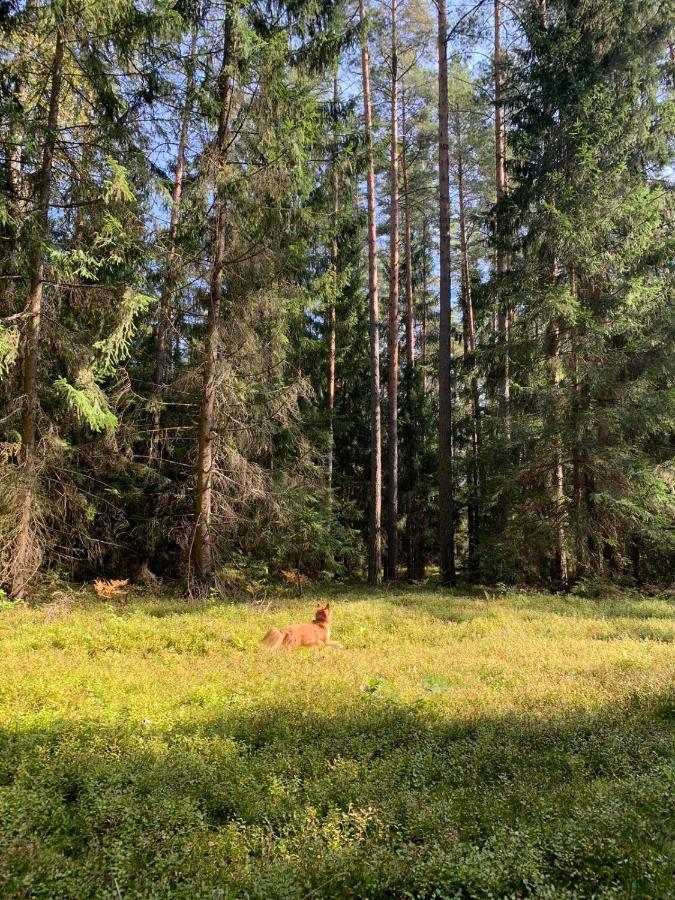 Pokoje Nadrzeczna Augustów Eksteriør bilde